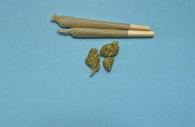 marihuana - jointy